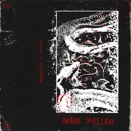 Mar Pelleh cover